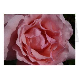 ROSA ROS II SÖT BLOMMIGT HÄLSNINGSKORT