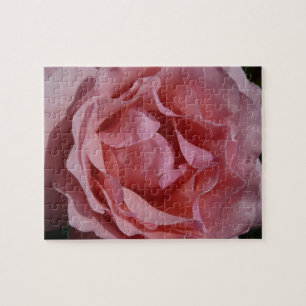 ROSA ROS II SÖT BLOMMIGT PUSSEL