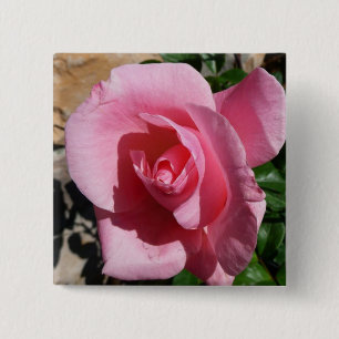 Rosa ros III Garden Blommigt Knapp