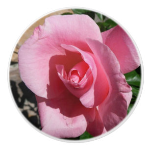 Rosa ros III Garden Blommigt Knopp