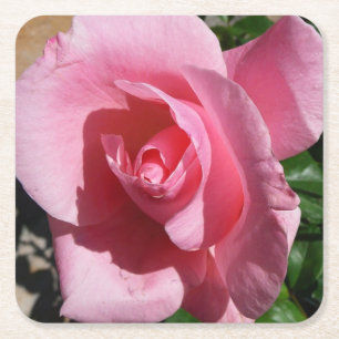 Rosa ros III Garden Blommigt Underlägg Papper Kvadrat