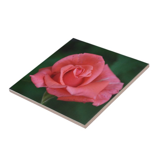 Rosa ros kakelplatta (Sidan)