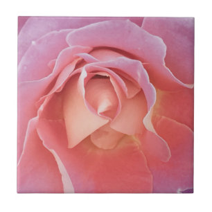 Rosa ros kakelplatta