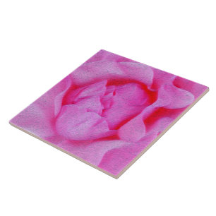 rosa ros kakelplatta