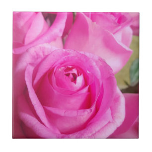 Rosa ros kakelplatta