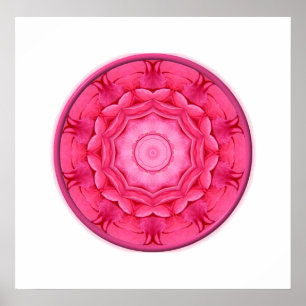 Rosa ros Kaleidoscope Poster