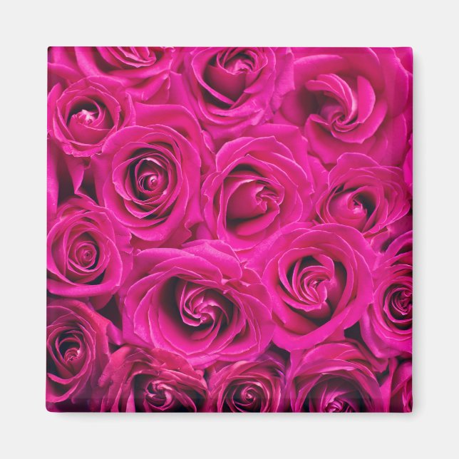 Rosa ros (Kärlek och Romantik) Magnet (Framsidan)