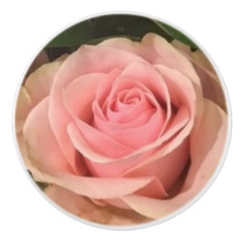 Rosa ros keramisk pull knopp