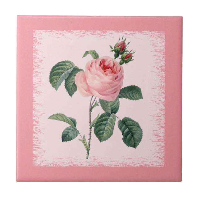 Rosa ros keramiska Redoute belägger med tegel Kakelplatta (Framsidan)