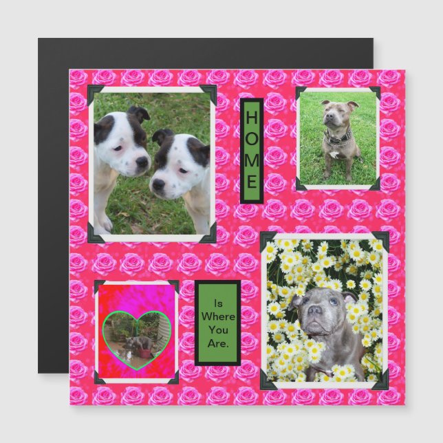 Rosa ros Kisses With Stprisdshire Bull Terriers (Fram/baksida)