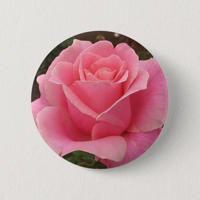 Rosa ros knapp (Framsida)