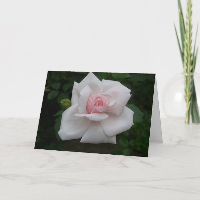 Rosa ros kort (Framsida)
