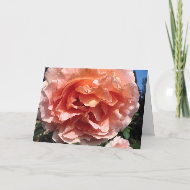 Rosa ros kort (Framsida)