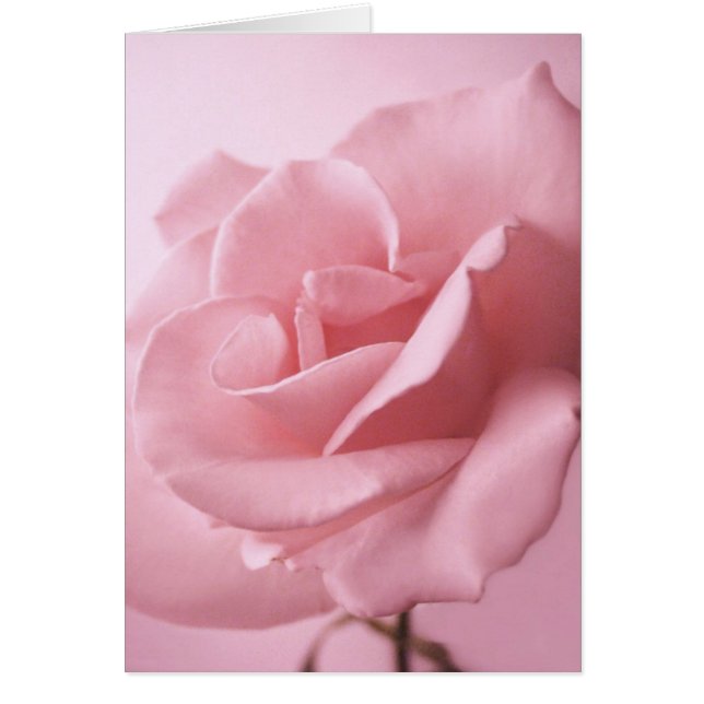 Rosa ros-kort hälsningskort (Framsidan)