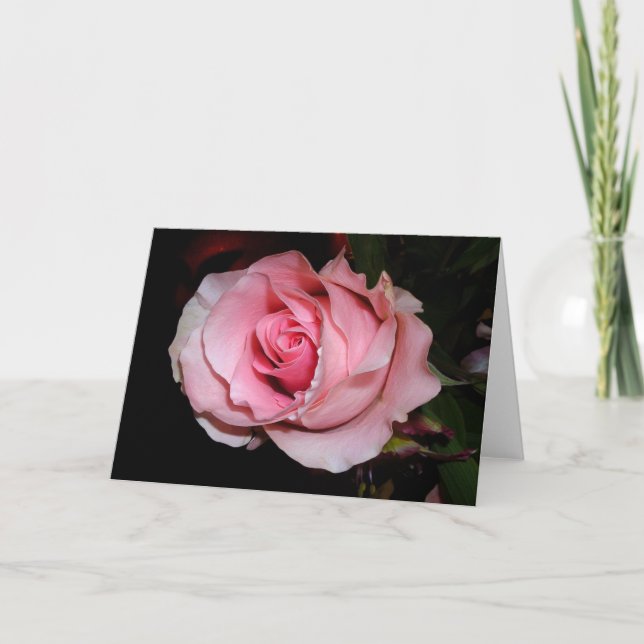 Rosa ros-kort kort (Framsida)