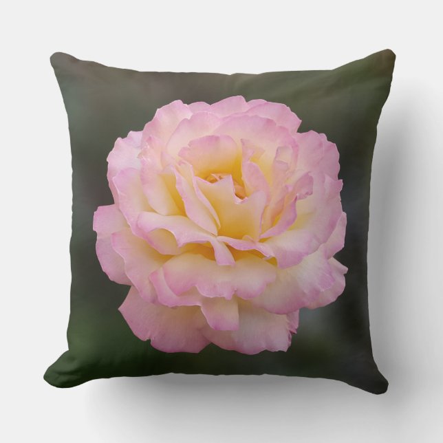 rosa ros kudde (Framsida)