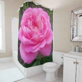 Rosa ros "Leonardo Da Vinci"