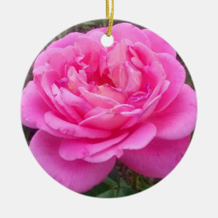 Rosa ros "Leonardo Da Vinci" Julgransprydnad Keramik