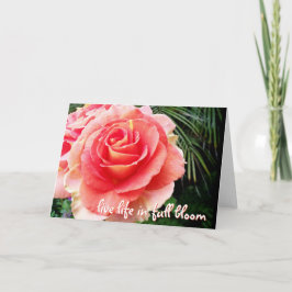 Rosa ros lever i blomsterlivet, citerar modern ele kort
