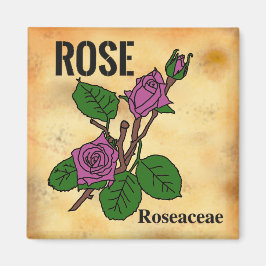 Rosa ros linjärt konstnärligt utförande i åldrigt magnet