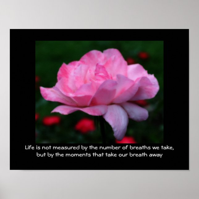 Rosa ros Livsinställning Citat Inspirerande Poster (Framsidan)