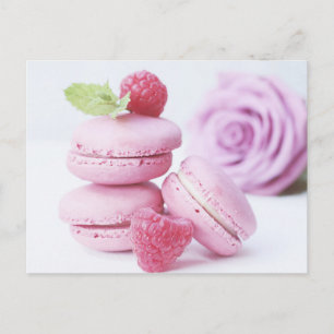 rosa ros Macarons vykort