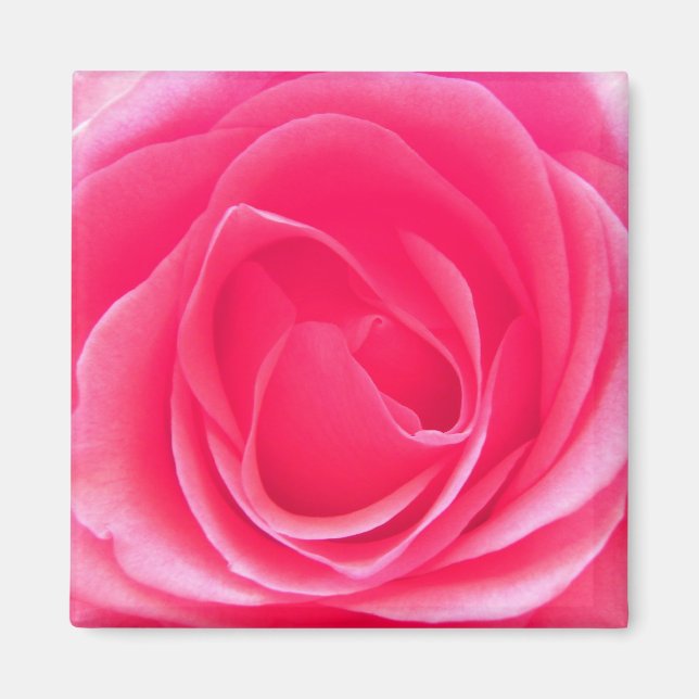 Rosa ros magnet (Framsidan)