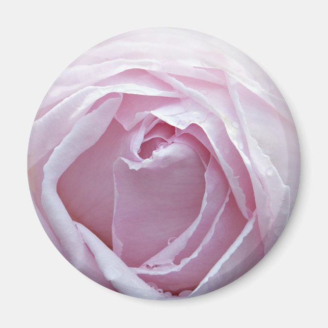 Rosa ros magnet (Framsidan)