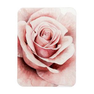 Rosa ros magnet