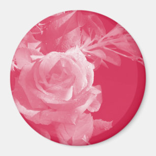 Rosa ros Magnet