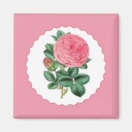 Rosa ros magnet