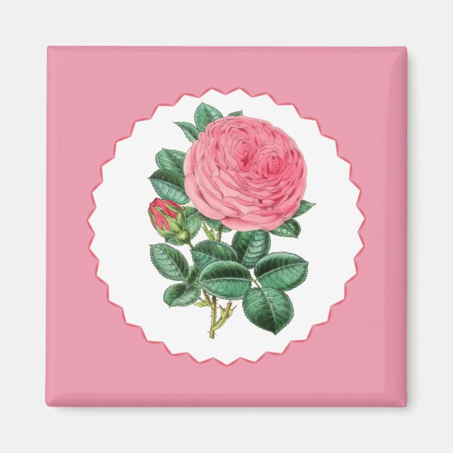 Rosa ros magnet (Framsidan)