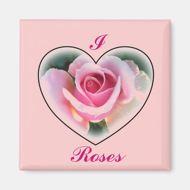 Rosa ros Magnet (Framsidan)