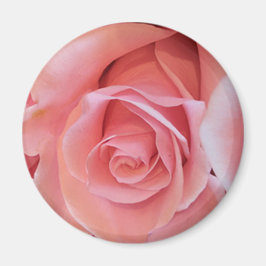 Rosa ros magnet