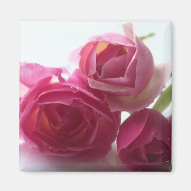 Rosa ros magnet (Framsidan)