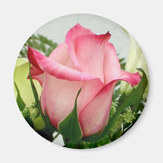 Rosa ros magnet