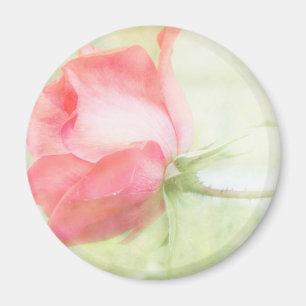 Rosa ros magnet