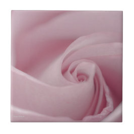 Rosa ros Makro Kakelplatta