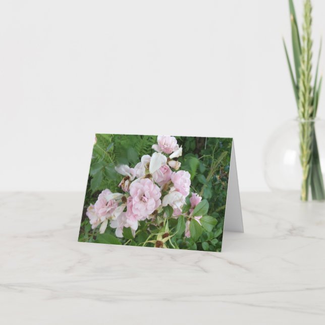 Rosa ros-mappat anteckningskort (Framsida)