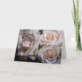 Rosa ros med Dew Kort