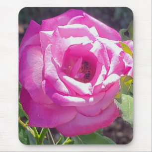 Rosa ros med en bimus musmatta