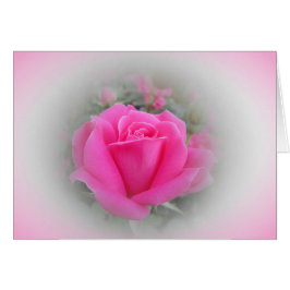 Rosa ros med Rosa och vit Hälsningskort