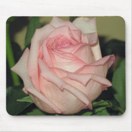 Rosa ros Mousdepad Musmatta