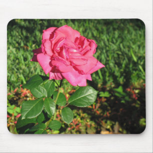 Rosa ros mousepad musmatta