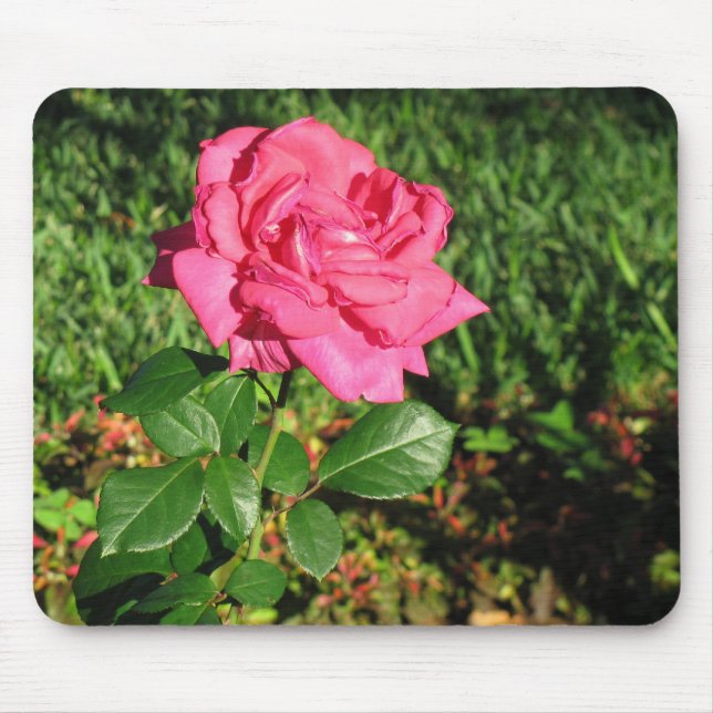 Rosa ros mousepad musmatta (Framsidan)