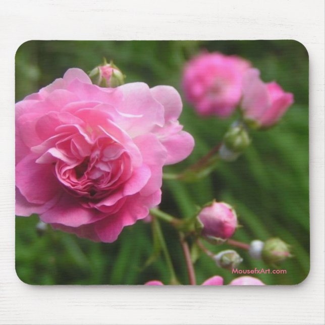 Rosa ros Mousepad Musmatta (Framsidan)
