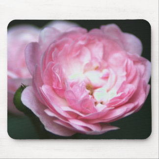 Rosa ros Mousepad! Musmatta