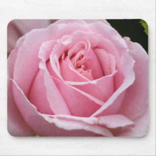 Rosa ros Mousepad Musmatta