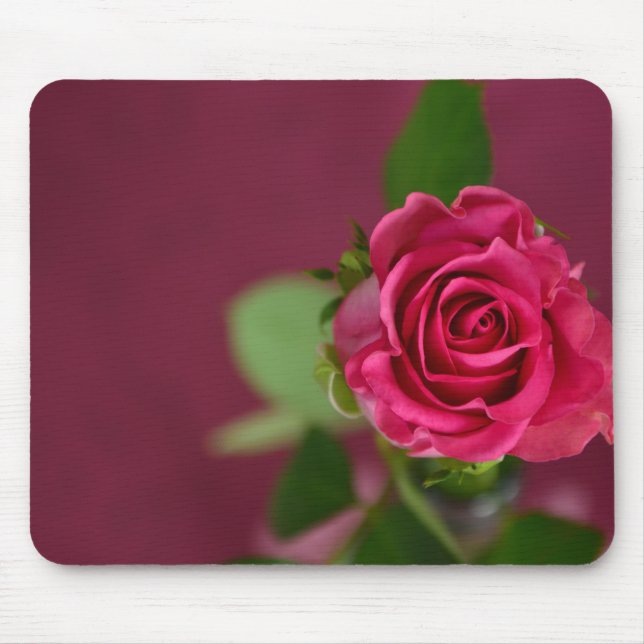 Rosa ros musmatta (Framsidan)