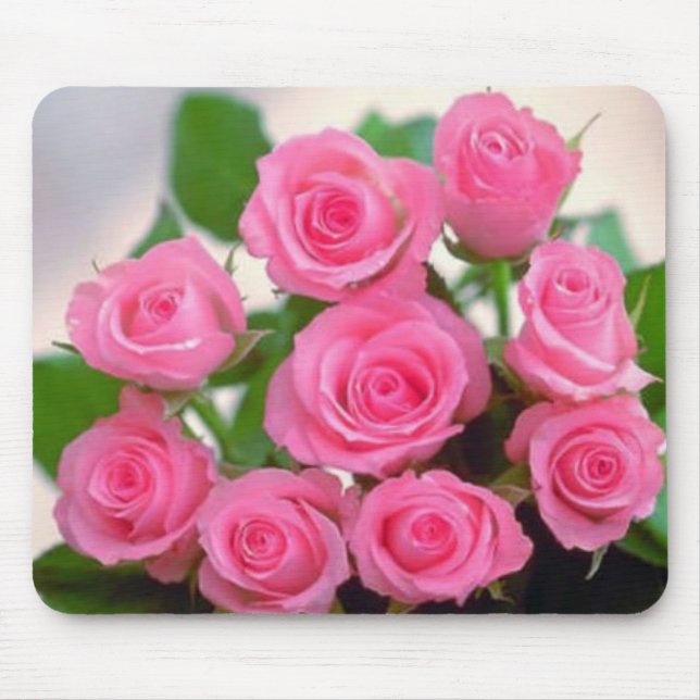 Rosa ros musmatta (Framsidan)